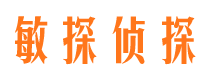 林西私家调查公司